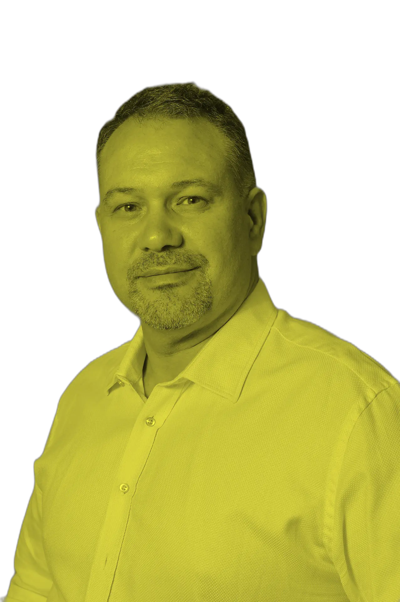Ing. Josef Vícha